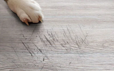 Best Engineered Hardwood Floor For Scratch Resistance